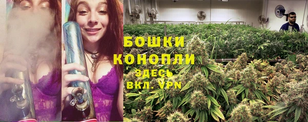 гидра Заволжск