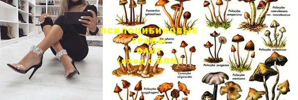 COCAINE Заводоуковск